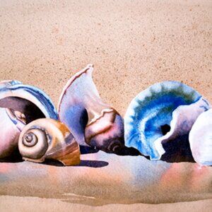 'Sand China' Seashells Art Print by Heather M. Hannon 5" x 7" | Matted 8"x10"